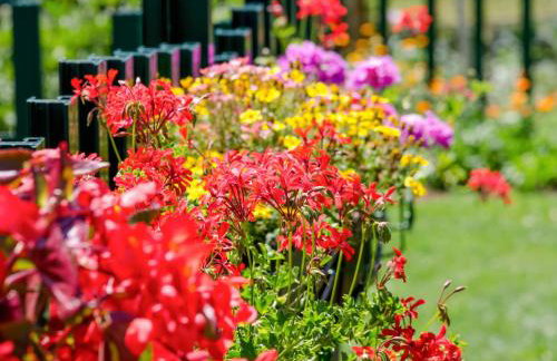 Holiday Home Maja by Interhome - Foto 38