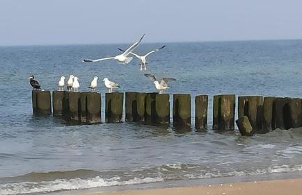 Mieszkanie przy plaży Ela - Foto 37