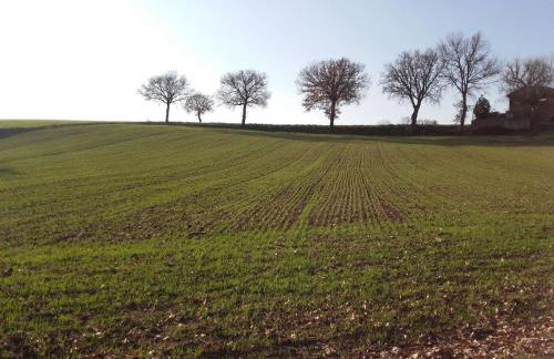 Agriturismo Il Mulino del Vescovo - Foto 24