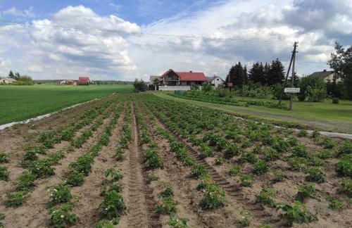 Agroturystyka Kobylnica nad Wisłą - Foto 57