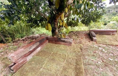 Chácara Alegria - Um pedaço do paraíso em Itaboraí - Foto 21