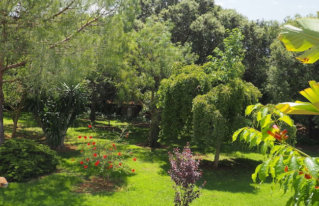 Son Mercadal - Foto 11