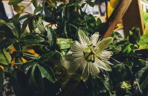 La Colonie // Cosy - terrasse - Butte aux cailles - Foto 15