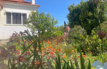 Quinta Pura Natura - Foto 7