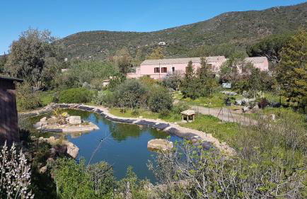 La Fattoria Delle Tartarughe - Foto 31