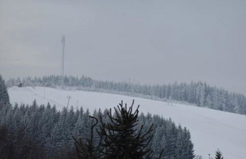 Ferienhaus Kohlmeise - Foto 8