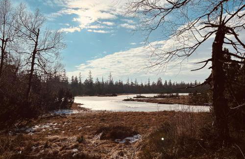 Kuckucksnest - Ferienwohnung mit Traumblick im Schwarzwald - Foto 44