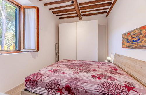 La Pinetina - Marina di Campo - Foto 23