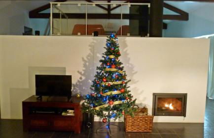 QVA - Quinta Velha das Amoreiras - Photo 19