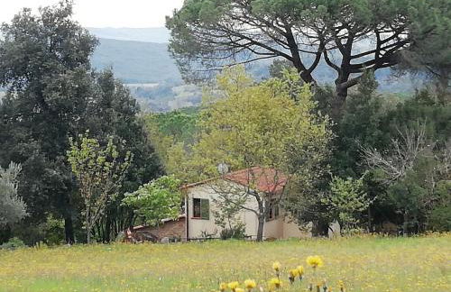 Casa Jacaranda - Foto 3