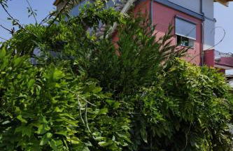 Eco Venice - Foto 73