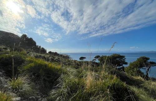 Casa Abeja - Foto 25