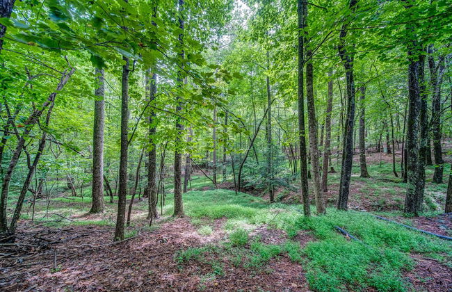 The Treehouse - Foto 39