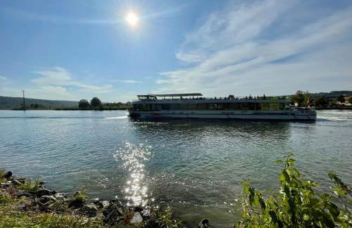 Chalet an der Donau direkt bei Regensburg, 5 Sterne DTV - Foto 21