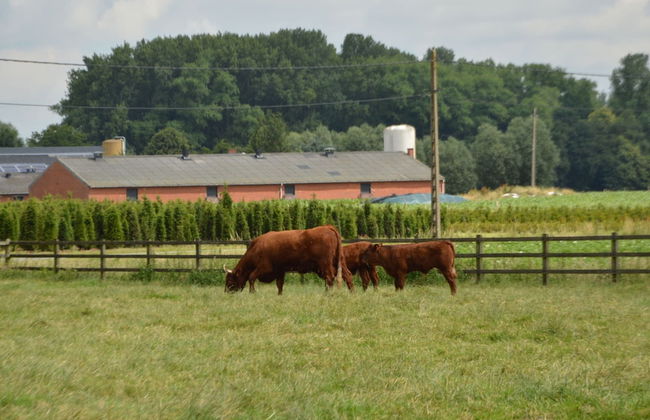 Cozy Family Home in Oostkamp - Foto 23