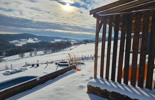 Stodoły w Bieszczadzie domy z basenem i widokiem na góry - Photo 14