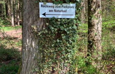 Appartement Sulzbachtal in Lahr, Nähe Europapark, Nähe Rulantica - Foto 46