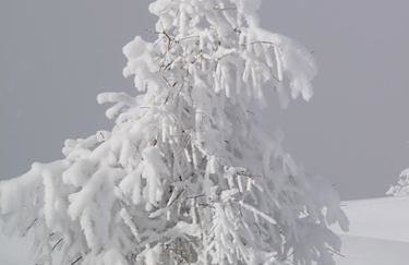 Residence Flora - Photo 23