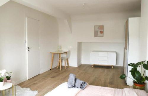 Très Belle MAISON à Rennes St Jacques - Foto 12