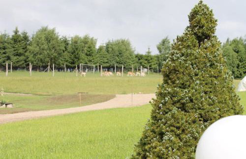 Przystań Nad Zatoką - Gospodarstwo Agroturystyczne - Foto 20