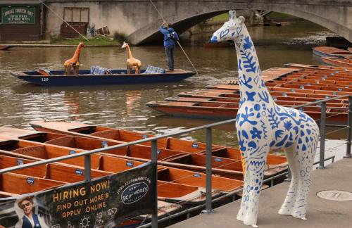 Modern stylish house in Charming Fen Ditton Village - Foto 40