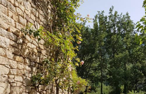 Domaine de Battarel, 4 hectares en Luberon - Foto 12