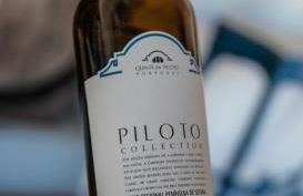 Quinta do Piloto - Foto 26