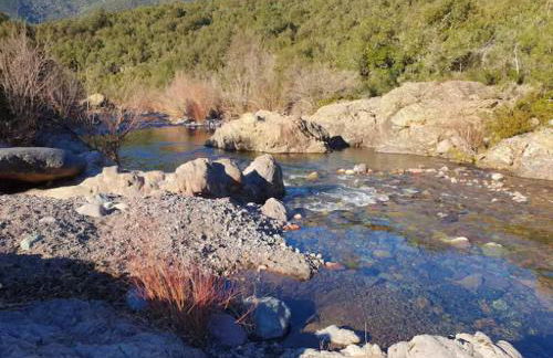 Appartement Saltare Rivière & maquis - Foto 3