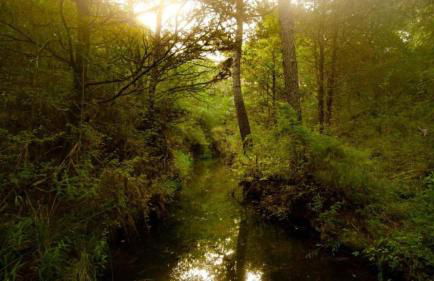 Deluxe Yurt Rental Ideal for Glamping near Austin - Foto 26