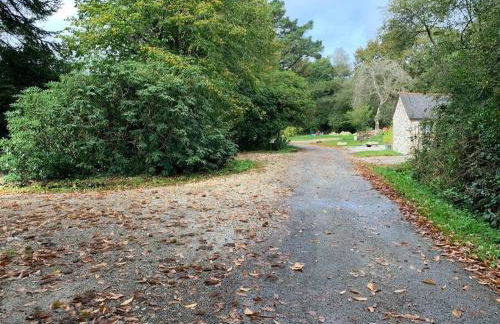 Cottage Tea Mamm , écrin de verdure et son jardin de thé, 3 étoiles - Foto 32