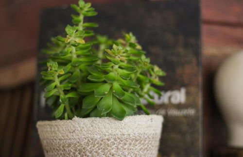 Quinta das Regueiras - Foto 42