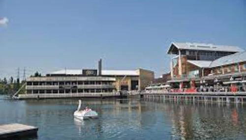 Delightful cabin retreat wrapped by natural beauty - Foto 3