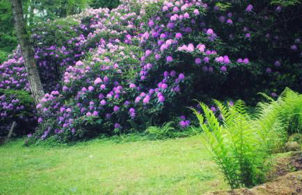 Villa Brodthage, App. 2 - Foto 9