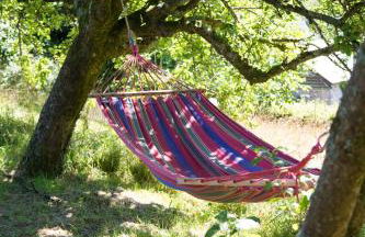 Lower Marsh Farm Glamping - Photo 65