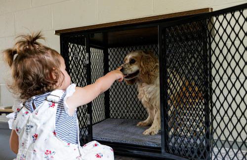 The Cooper Home, Dogs Welcome! - Foto 42