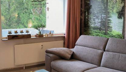 Harz High End 4 und 5 Sterne DTV Apartments - Foto 3