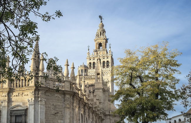 Pierre & Vacances Sevilla - Foto 32