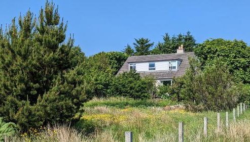 Remuera, North Tolsta - Foto 5, Garden, Garden view