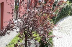 Residenza XX Settembre - Foto 1