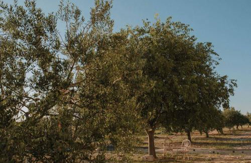 MY DALMATIA - Authentic Villa Storia with private heated pool - Photo 57