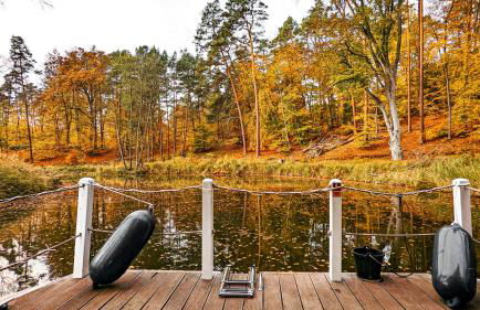 Marina Zernsdorf - Foto 52