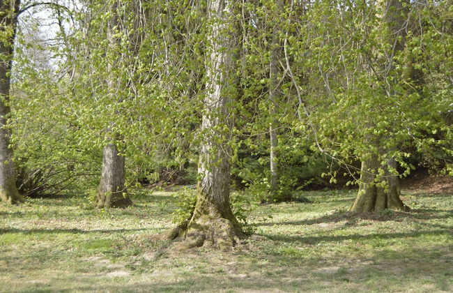 Pet-friendly Escape in Fauvillers - Foto 59