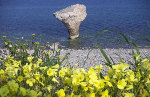 Residence Torre Saracena - Foto 77