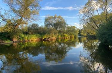 Ferienwohnung Marktstrasse - Foto 30