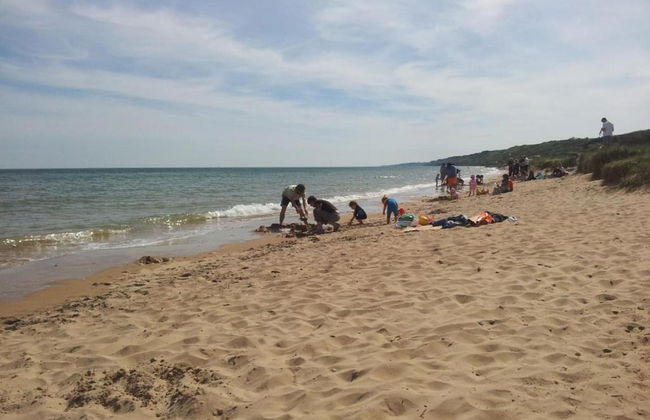 Charming Coastal Hideaway - Foto 35