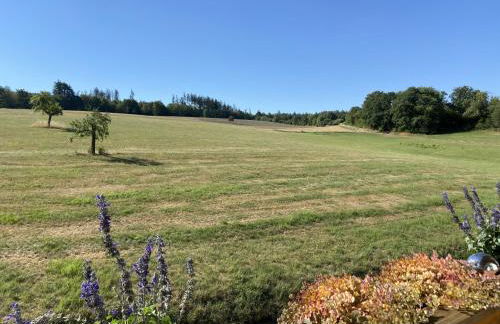 Taunusglück - Foto 8