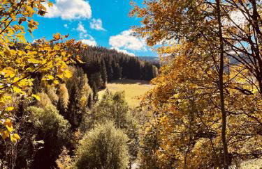 GÓRSKA CISZA - Duży, komfortowy, wyjątkowy Apartament - Foto 73