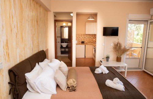 Argo Studios - Foto 1