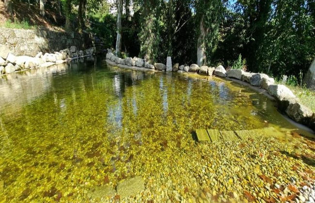 Forest Hideaway Near Douro Valley - Foto 35