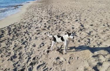 baia verde appartamento 150 m dal mare - Foto 12